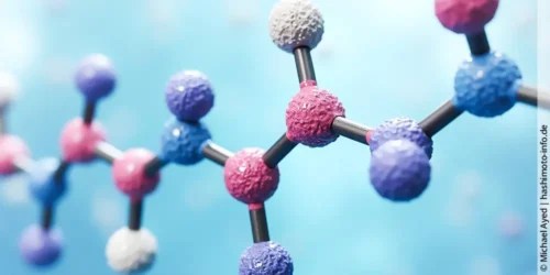 Aminosäuren bei Hashimoto und Schilddrüsenunterfunktion: Die Schlüsselbausteine für Hormonbildung, Immunregulation & Entgiftung