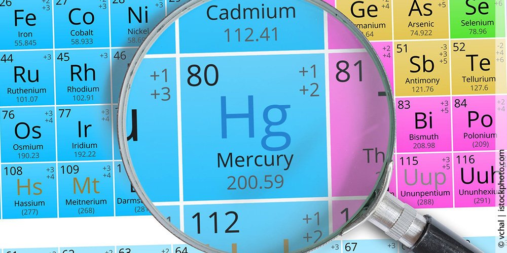 Schwermetallbelastungen und Hashimoto: Der Einfluss von Quecksilber, Blei & Kupfer auf das Immunsystem und die Schilddrüsengesundheit