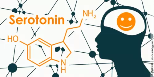Serotonin: Der Schlüssel zu mehr Lebensfreude trotz Hashimoto-Thyreoiditis