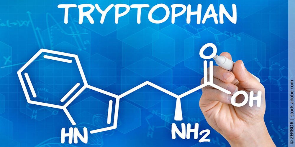 Von Tryptophan bis zum Glückshormon: Wie die Serotoninsynthese funktioniert