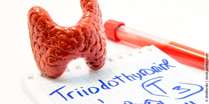 Wie Schilddrüsenhormone im Körper wirken und dein Wohlbefinden beeinflussen können